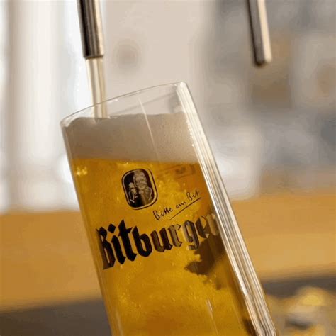 beer gifs